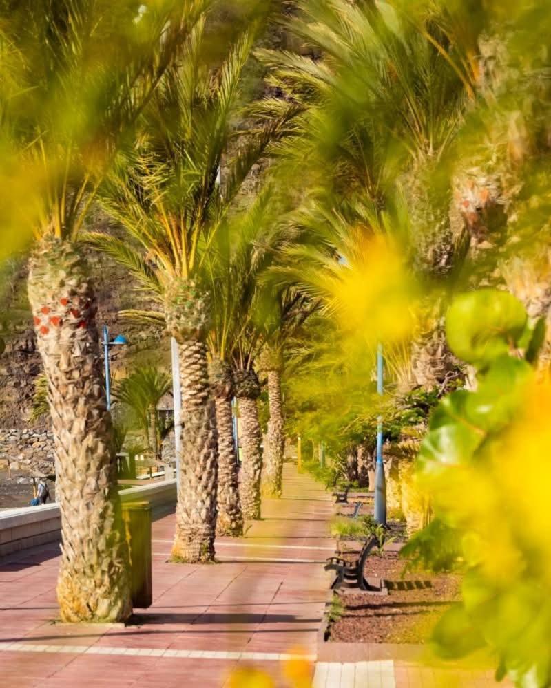 Apartamento El Balcon De Colon San Sebastián de la Gomera Exterior foto